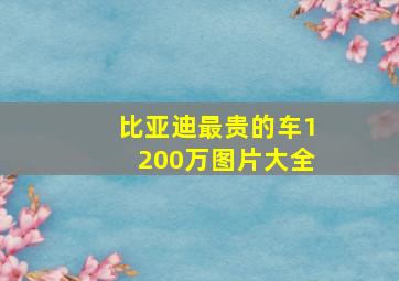 比亚迪最贵的车1200万图片大全