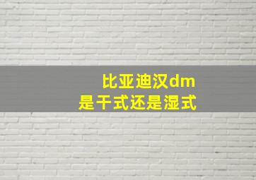 比亚迪汉dm是干式还是湿式