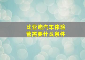 比亚迪汽车体验营需要什么条件