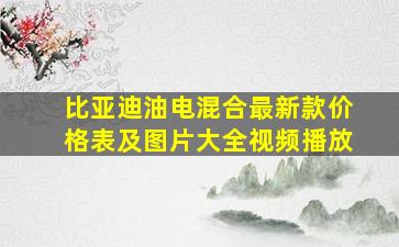 比亚迪油电混合最新款价格表及图片大全视频播放