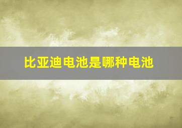 比亚迪电池是哪种电池