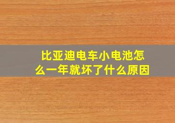 比亚迪电车小电池怎么一年就坏了什么原因