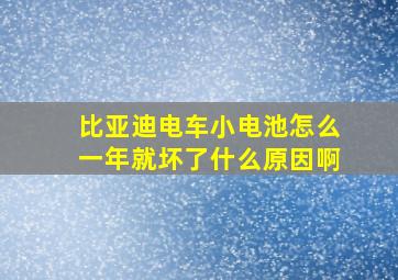 比亚迪电车小电池怎么一年就坏了什么原因啊