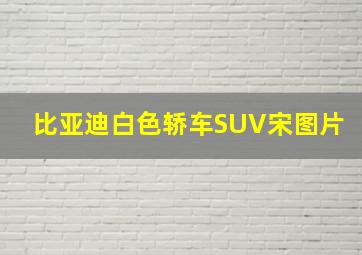 比亚迪白色轿车SUV宋图片