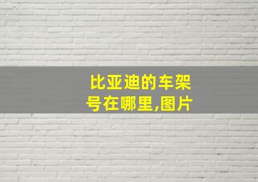 比亚迪的车架号在哪里,图片