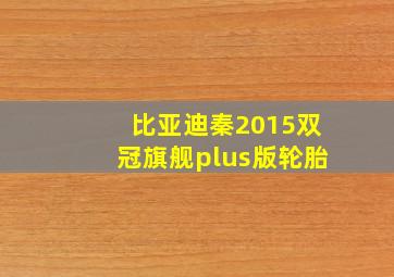 比亚迪秦2015双冠旗舰plus版轮胎