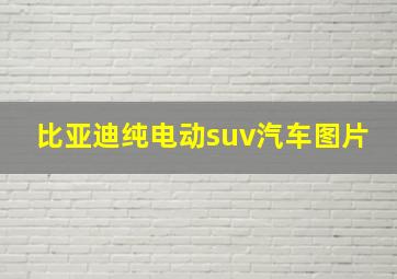 比亚迪纯电动suv汽车图片