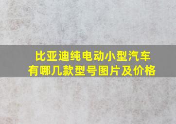 比亚迪纯电动小型汽车有哪几款型号图片及价格