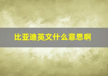 比亚迪英文什么意思啊