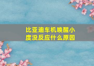 比亚迪车机唤醒小度没反应什么原因