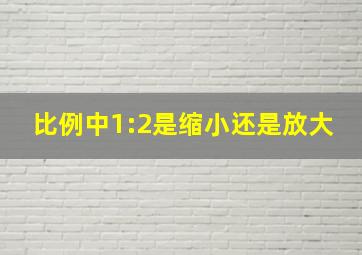 比例中1:2是缩小还是放大