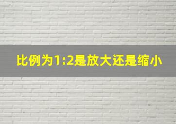 比例为1:2是放大还是缩小