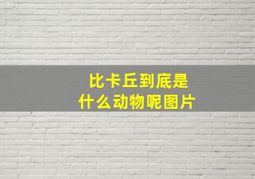 比卡丘到底是什么动物呢图片