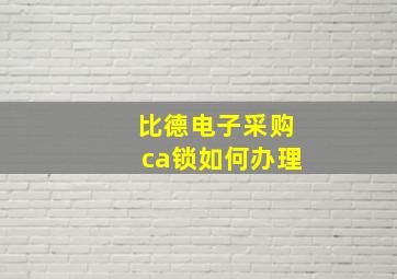 比德电子采购ca锁如何办理