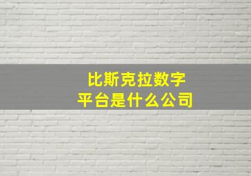 比斯克拉数字平台是什么公司