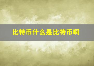 比特币什么是比特币啊