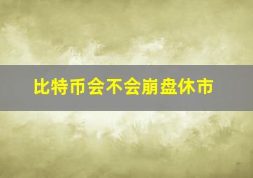 比特币会不会崩盘休市