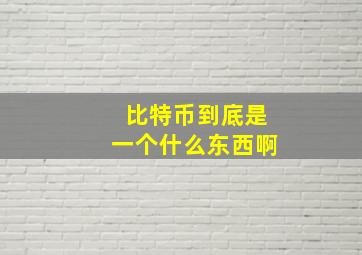 比特币到底是一个什么东西啊