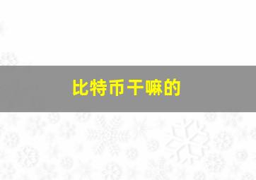 比特币干嘛的