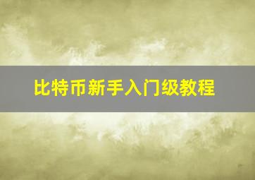 比特币新手入门级教程