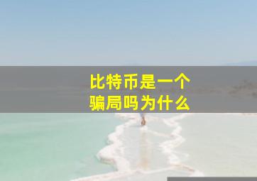 比特币是一个骗局吗为什么