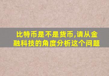 比特币是不是货币,请从金融科技的角度分析这个问题