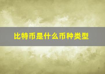 比特币是什么币种类型