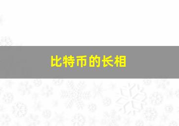 比特币的长相