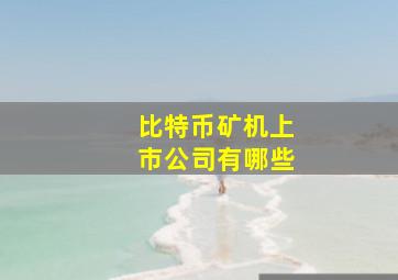 比特币矿机上市公司有哪些