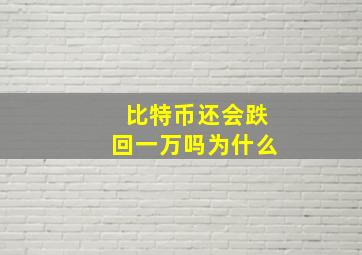 比特币还会跌回一万吗为什么