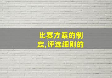 比赛方案的制定,评选细则的