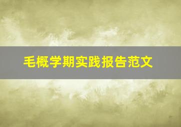 毛概学期实践报告范文