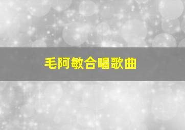 毛阿敏合唱歌曲