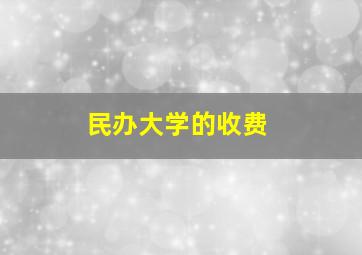 民办大学的收费