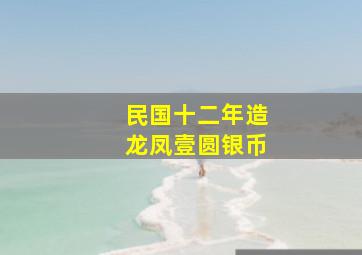 民国十二年造龙凤壹圆银币