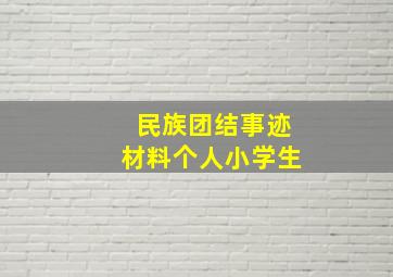 民族团结事迹材料个人小学生