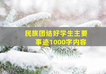 民族团结好学生主要事迹1000字内容