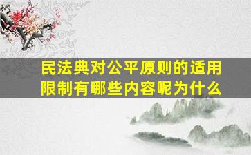 民法典对公平原则的适用限制有哪些内容呢为什么