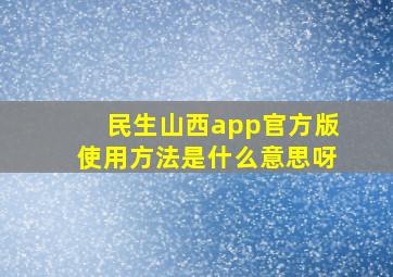 民生山西app官方版使用方法是什么意思呀