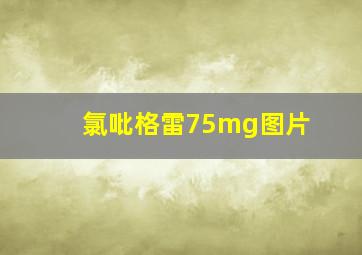 氯吡格雷75mg图片