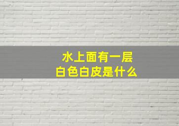 水上面有一层白色白皮是什么