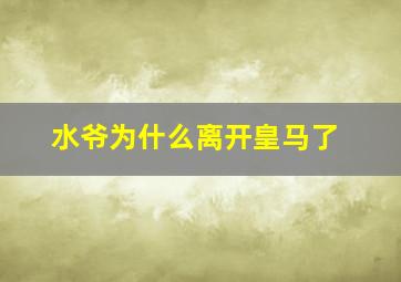 水爷为什么离开皇马了