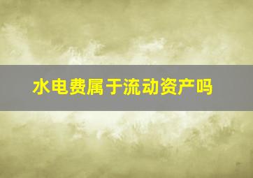 水电费属于流动资产吗