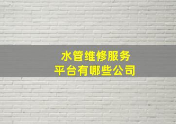 水管维修服务平台有哪些公司