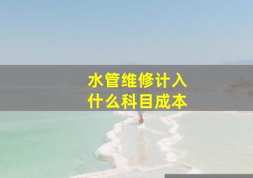 水管维修计入什么科目成本