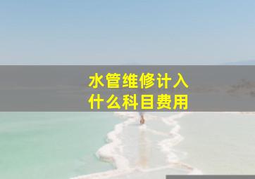 水管维修计入什么科目费用