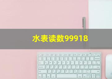 水表读数99918