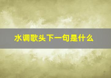 水调歌头下一句是什么