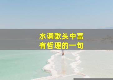 水调歌头中富有哲理的一句