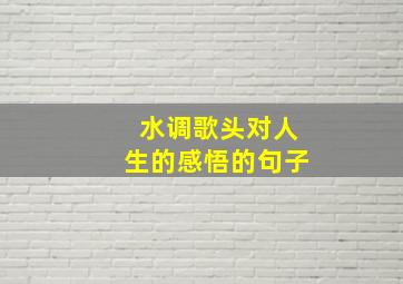 水调歌头对人生的感悟的句子